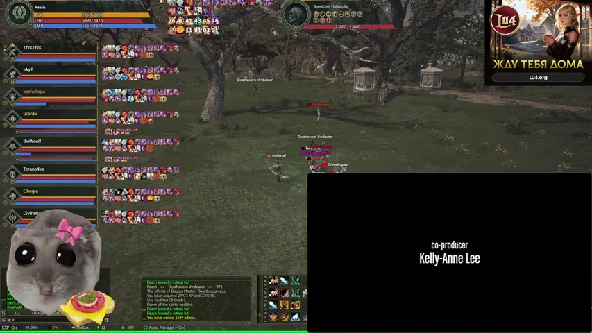 kamui699 Lineage 2 stream image