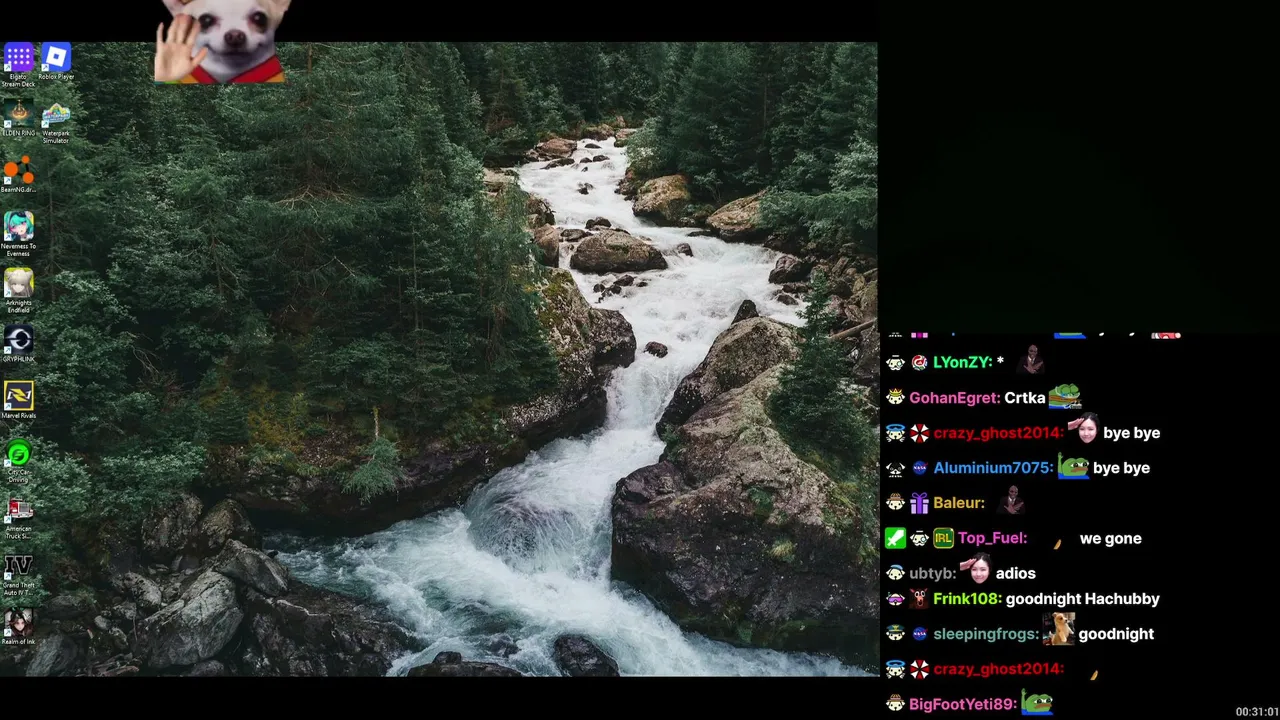 HAchubby live