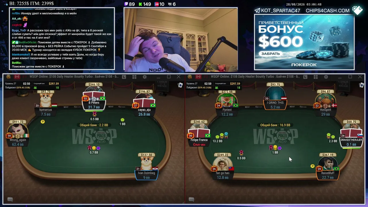 Kot_Spartac_MTT live