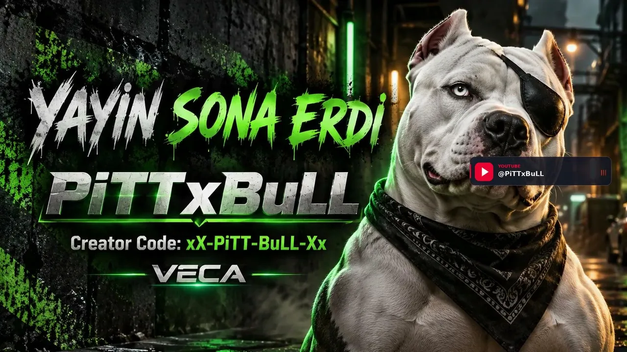 PiTTxBuLL live stream