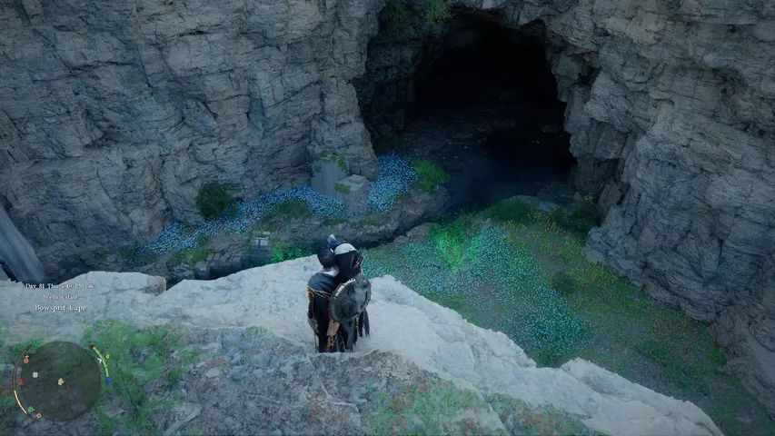 Columbina pulls and events