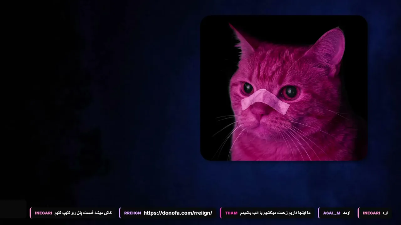 rreiign