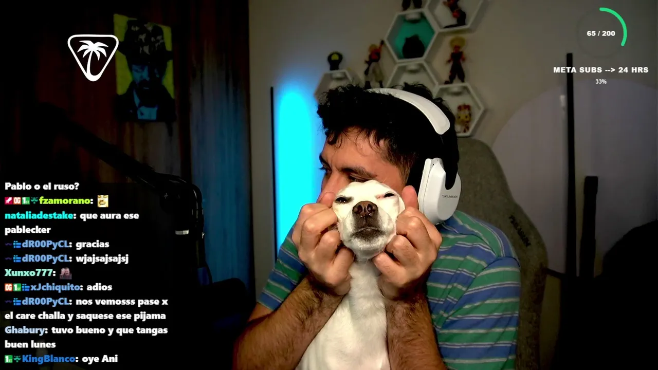 Animalitoo