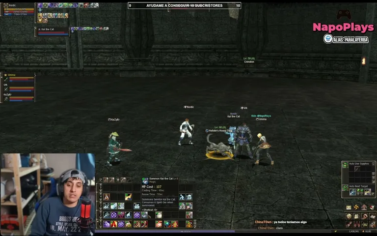 napoplays Lineage 2 stream image