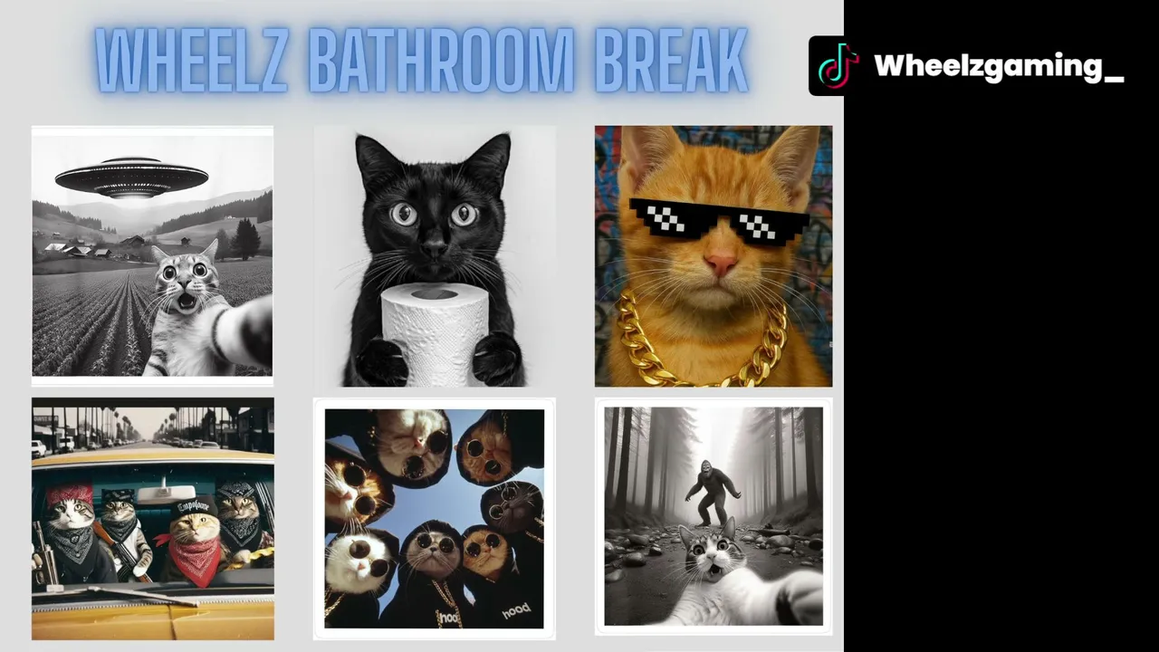 Wheelzgaming