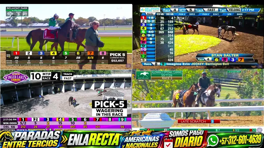 enlarectax202 playing Just Chatting - Live Casino Stream