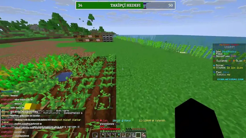 Minecraft 1.21.11 Birlikte Town Kurak