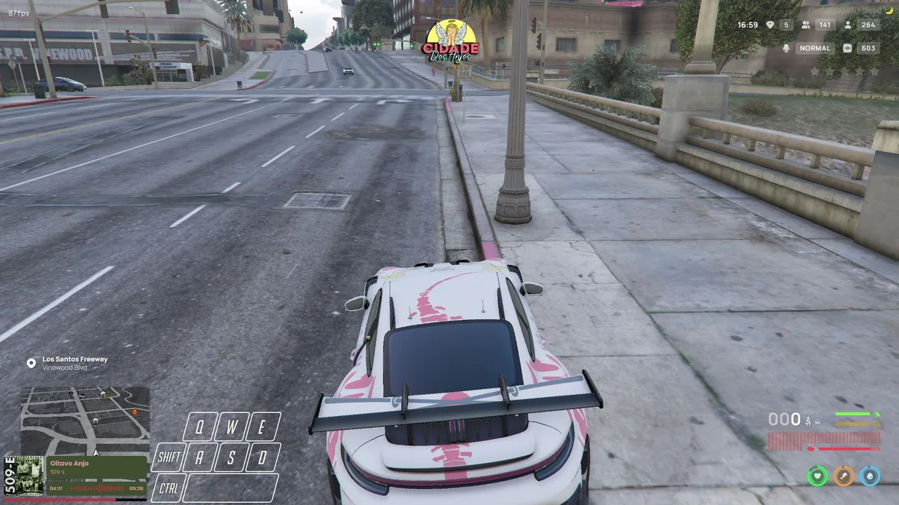 Vinyy_P1 live