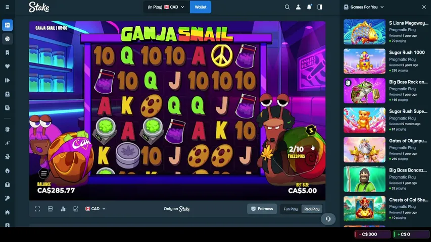 mayormcblunts playing Slots & Casino - Live Casino Stream
