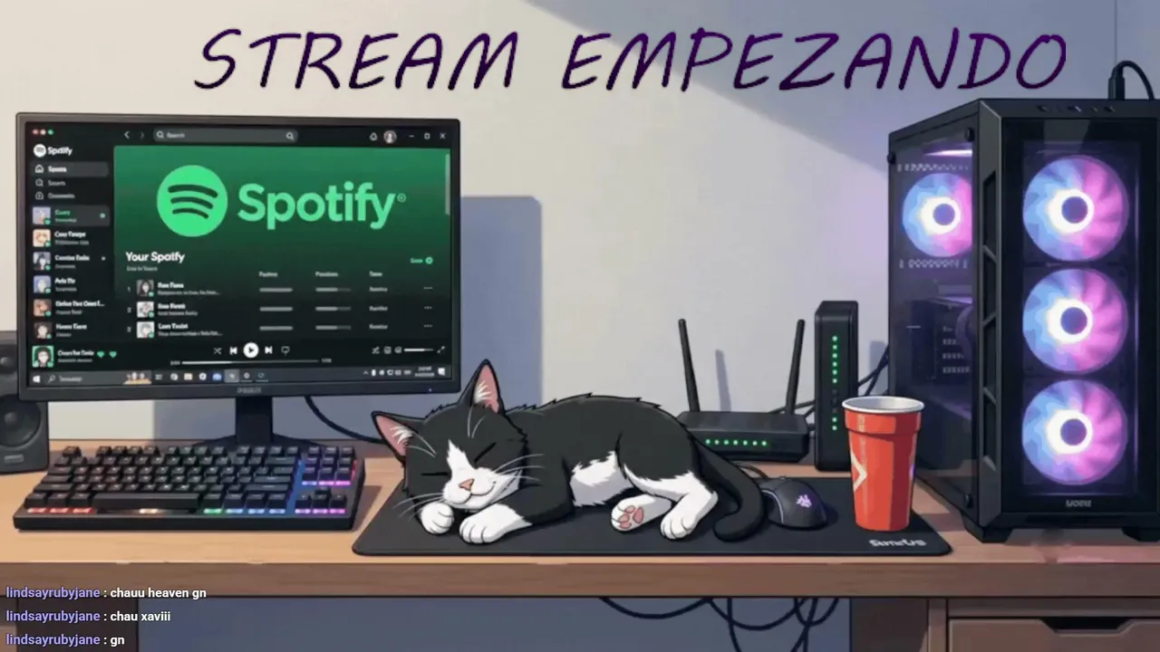 laawtyy live