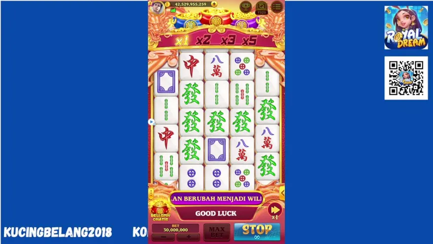 kucingbelang2018