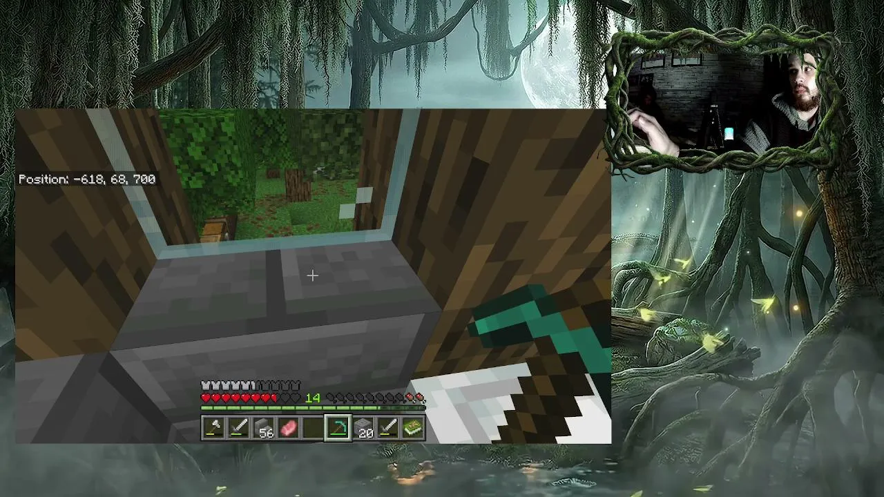 Crocodilekd live