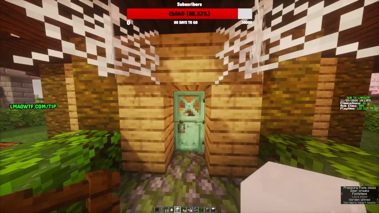 Join this minecraft server